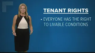 Knowing your rights as a tenant