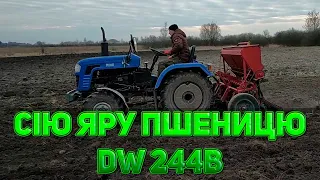 Посів ярої пшениці | DW 244B