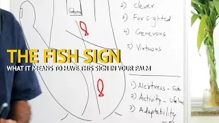 🐟 FISH Sign 🐟 Palmistry & Palm Reading