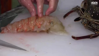 Lobster Sashimi Street Food in Japan