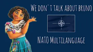 |We don't talk about bruno| Multilanguage in the languages of the NATO countries