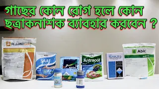 ছত্রাকনাশকের সঠিক ব্যবহার ।গাছের ছত্রাক নাশক ঔষধ । Plant Fungicide application।