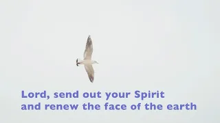 Psalm 104 Lord Send Out Your Spirit