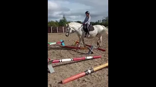 Гимн каждого конника🐎