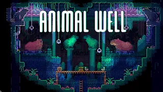 what to expect from ANIMAL WELL