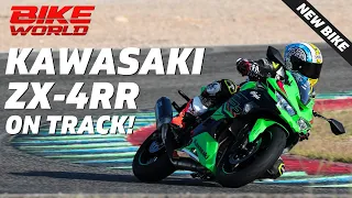 Kawasaki ZX-4RR | On Track Review