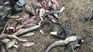 В Камызякском районе браконьеры ловили рыбу «телевизорами»