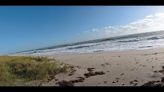 Search for 1700s Spanish Treasure - Relaxing Day-  Metal Detecting-Beach hunt in Fort Pierce Florida