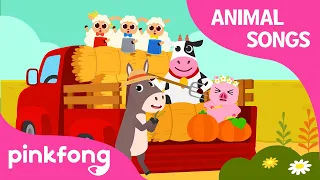 Farmony | Farm Animal Songs | Learn Animals | Pinkfong Animal Songs for Children
