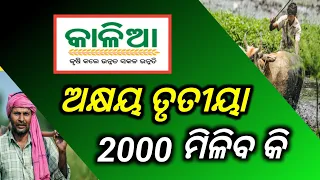 କାଳିଆ ଯୋଜନା ଅକ୍ଷୟ ତୃତୀୟା ମିଳିବ କି?/Kalia yojana money transfer/technical surya 01/kalia yojana money