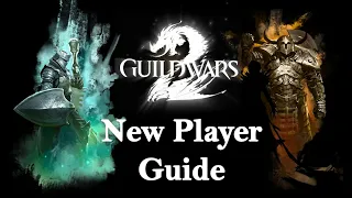 Als neuer Spieler in Guild Wars 2 starten - Guide von Level 1 bis Level 80