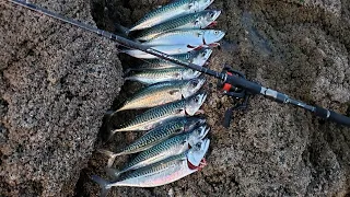 Pêche Du Bord Au Jig  En Mer