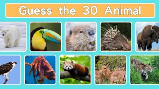 Guess the Animal Quiz | 30 Animals Quiz!!
