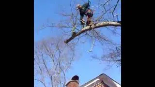 Cutting a limb safely over a house