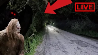 🔴 SCARY ENCOUNTERS CAMPING IN THE APPALACHIAN MOUNTAINS / HUNTING FOR BIGFOOT AND MOTHMAN
