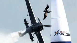 ⚠️ BIRDS VS AIRCRAFT ⚠️ VIDEO COLLECTION 2016 _ CRASH -=2 PART=-| New 2017