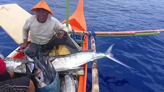 Blue marlin,tuna,tolingan at tangige ang na huli namin