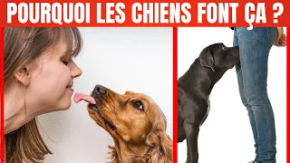 40 Comportements étranges de Chiens EXPLIQUÉS !