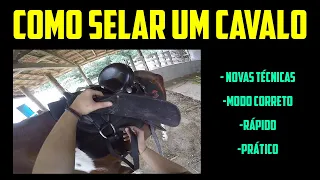 Como Selar Um Cavalo (Atualizado) - Lulu Animais