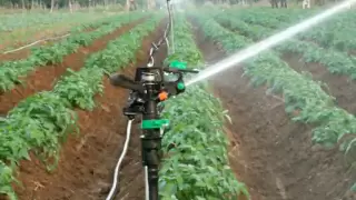 a spriklers system I instaled in India for Jain irrigation co.