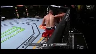 Jiri prochazka knocked out Dominick Reyes