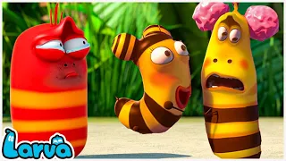 Dress Up as a Yellow Bee - Cartoons | Comics | Larva Cartoon - Mini cartoon Movie | LARVA Official.