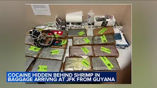 Man arrested for allegedly smuggling cocaine in bags of jumbo shrimp at New York airport