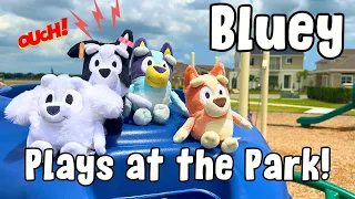 🛝 Bluey and Bingo Play at the Park and Mackenzie has a BIG Fall 💥🤕