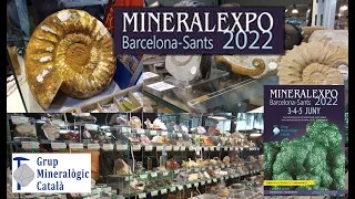 Feria fósiles y minerales Mineralexpo 2022 Barcelona