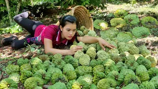 FULL VIDEO: 250 Harvest days ( Avocados, Ducks, Qua Na, Making Lam Rice ) Goes to the market to sell