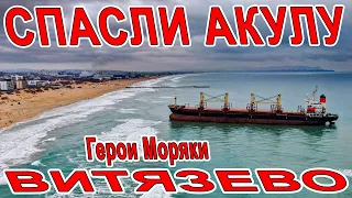 ОШАЛЕТЬ! СПАСЛИ АКУЛУ из ПЛЕНА в АНАПЕ на ПЛЯЖЕ в ВИТЯЗЕВО! А ВЫ НЕ ВЕРИЛИ и Я ТОЖЕ! КАК ЭТО БЫЛО