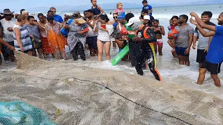 Net fishing yellowtail fish in Cape town muizenberg surfing corner- blue water beach in south africa