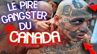 LE PIRE GANGSTER DU CANADA   Reportage choc - Documentaire FR