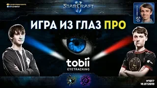 ГЛАЗА ЧЕМПИОНОВ: Куда смотрят звезды StarCraft II - Serral и Neeb?