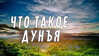 Что такое дунъя