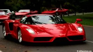 CAReninaTV Lamborghini, Maserati, Ferrari, Porsche Какие еще авто в гара�