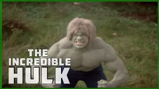 The Incredible Hulk S4: Danny Trailer