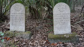 Cemetery and Homestead Adventure in Ocala National Forest