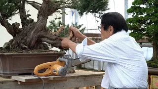 Kimura Techniques - Bonsai Powertools and Deadwood