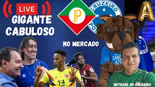 CRUZEIRO TEM O GIGANTE E ESTÁ FORTE NO MERCADO - DEBATE SOBRE CRUZEIRO