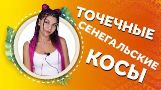 AFROMARI 132 | Точечные сенегальские косы с канекалоном от фирмы HAIRSHOP