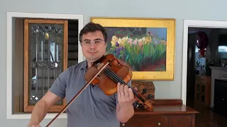 The Parting Glass - Celtic Traditional - Viola