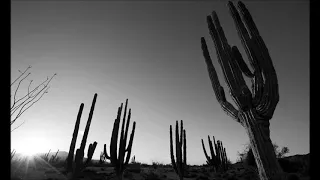 SILVESTRE RESVUELTAS.  LA NOCHE DE LOS MAYAS. DUDAMEL