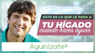 Esto es lo que pasa con tu hígado cuando haces ayuno