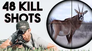 48 Amazing Hunting Kill Shots (4K)