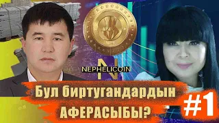 NEPHELICOIN Бул бир уйбулонун АФЕРАСЫБЫ же ЖАКШЫ КЫРГЫЗСТАНДЫН ПРОЕКТИСИБИ? #1