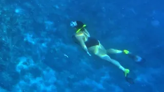 Kailua-Kona Snorkeling Excursion