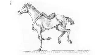 Horse cartoon (фазовка)