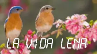 La Vida Lena February 3, 2022 Full Episode 159