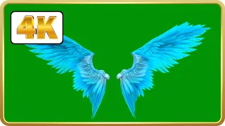 Ice Blue angel wings in green screen Video Loops 4K download